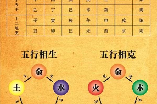 哪种命相八字的人适合学算命