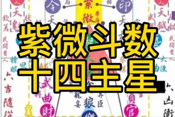 假从紫微斗数 紫微斗数实战？
