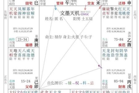 九宫格紫薇斗数盘算命怎么看