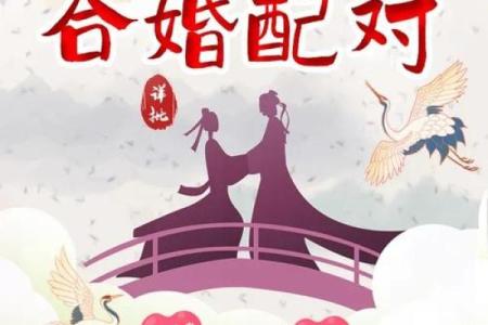妻子沉迷于“算命占卜”家庭最后又收获了什么？