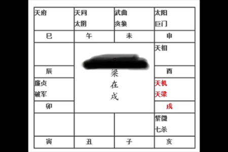 紫薇斗数辰戌宫
