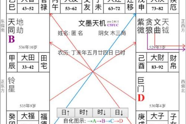 紫薇斗数看谁有豪宅