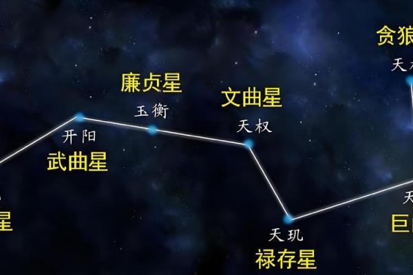 数术类古籍 飞星紫微斗数