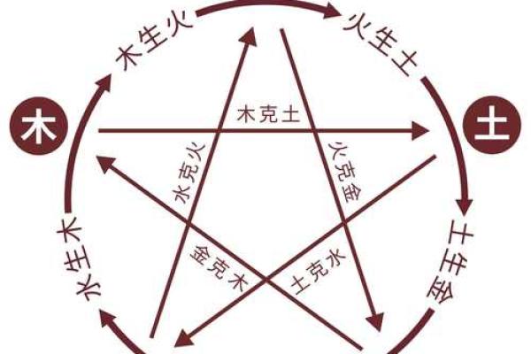 紫薇斗数梅花易数
