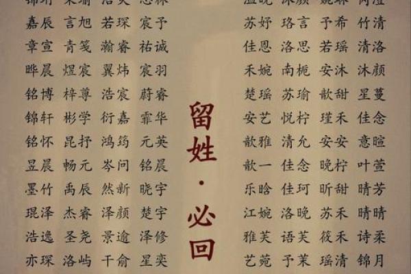 高分取名-2024年元旦节出生的宝宝八字起名字