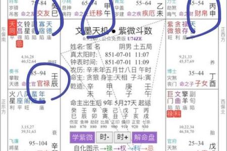 紫微斗数诸星落诸宫之：巨门星官禄宫详解