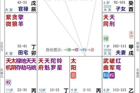 紫薇斗数破格