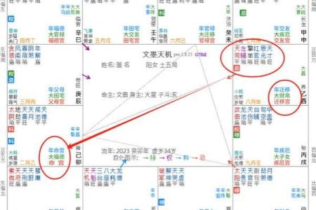 紫微斗数命盘解析：十二宫位