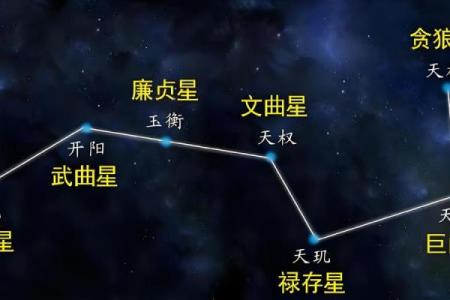 数术类古籍 飞星紫微斗数