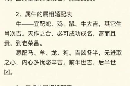 婚姻算命,1984年女鼠一生婚姻状况