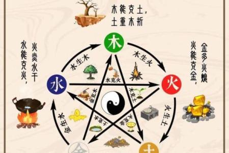 八字缺木土多从事什么行业好