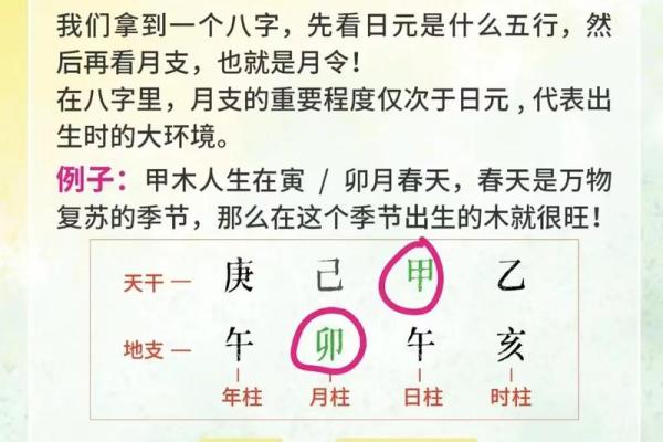 如何学八字命理