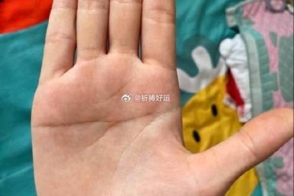 圆形手指算命