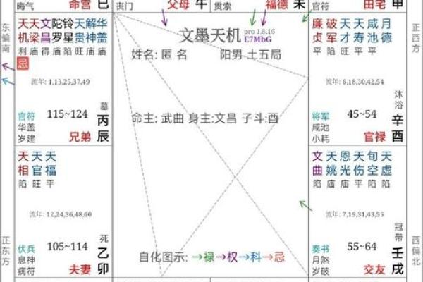 紫薇斗数大限天同巨门