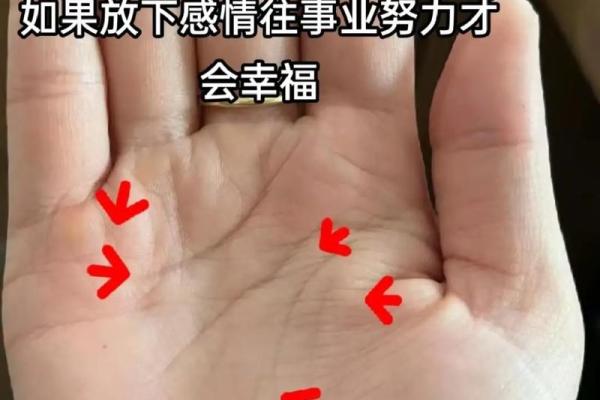 女手相算命图解