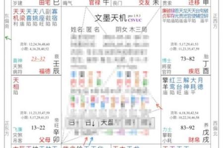 紫微斗数子女宫禄存星详解 子女宫碌存？
