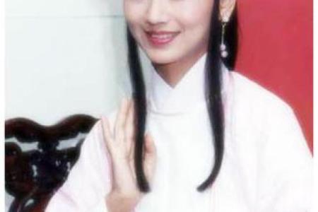 紫薇白娘子紫微斗数书
