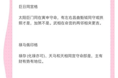 中州紫薇斗数实例