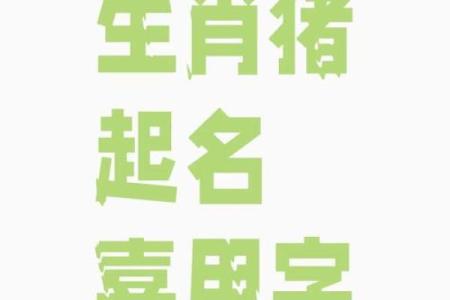 宝宝八字起名大全，猪宝宝最合适的名字推荐