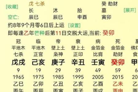 免费取名八字命盘大全，专业八字取名服务，准确分析命盘特点！