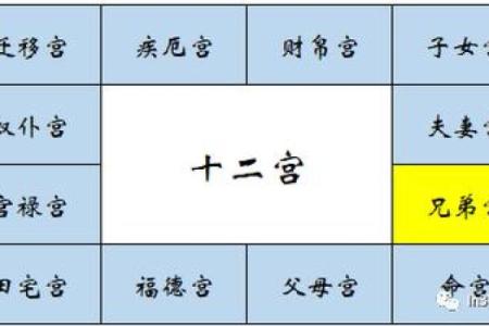 紫微斗数诸星落诸宫之：天府星兄弟宫详解