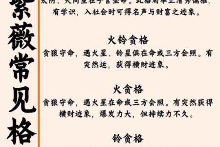 紫薇斗数看面相