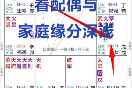 紫薇斗数看学识