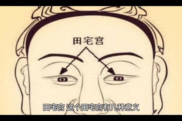 紫微斗数诸星落诸宫之:田宅宫 紫微斗数诸星落诸宫之:田宅宫