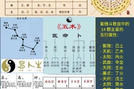 紫微斗数之各星曜所主行业：测本人能否选举上？