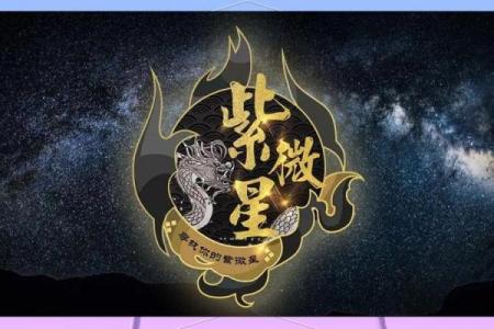 从事艺术紫薇斗数