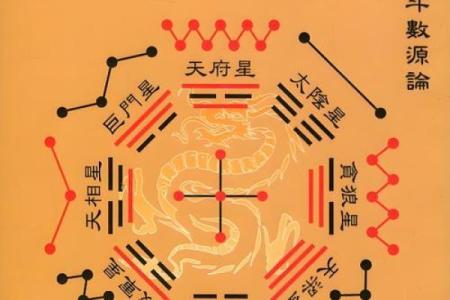 紫薇斗数壬化禄