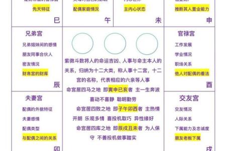 紫薇斗数子女预测
