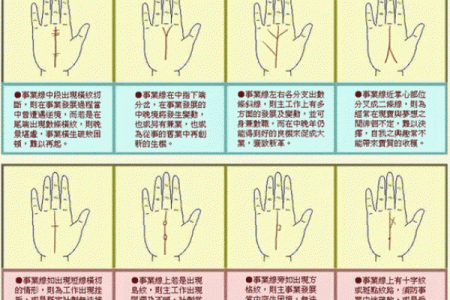 男人九种手相算命图解