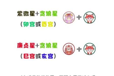 紫微斗数术语解释之：星曜的简称