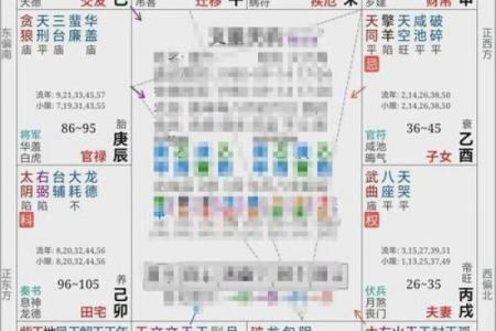 紫薇斗数看财运格局