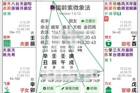 紫微斗数之格局概论