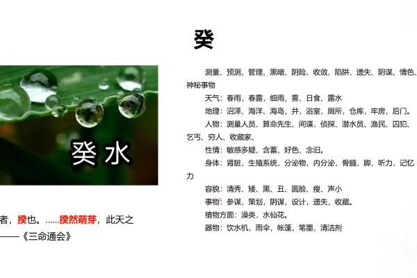 癸日的八字