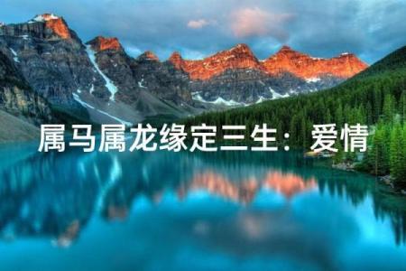 老公属马,老婆属龙,住几层的楼房风水更好？