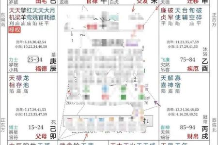 紫薇星斗数命盘怎么看