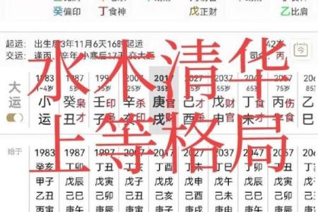算命的说我八字格局不错