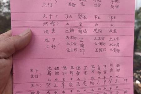 癸日的八字
